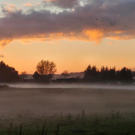 Fewo Am Wald Boek Eksteriør billede